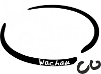 Weinsteinbike Logo